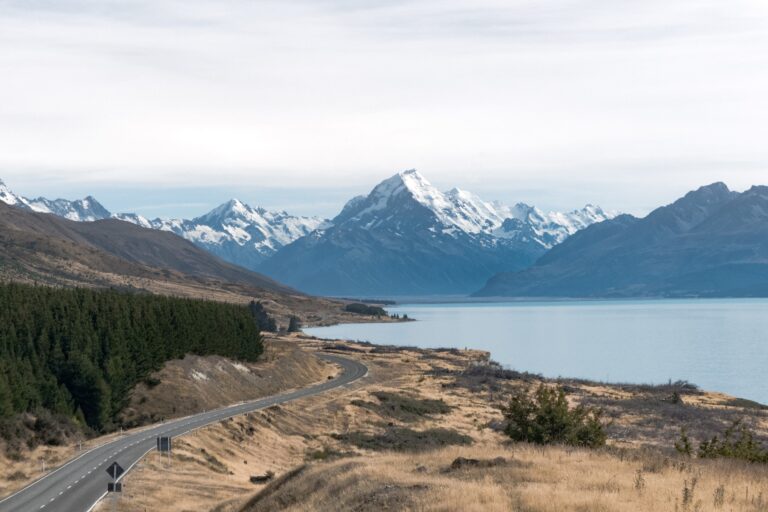 Tìm Hiểu Tất Tần Tật Về Du Học New Zealand 2022