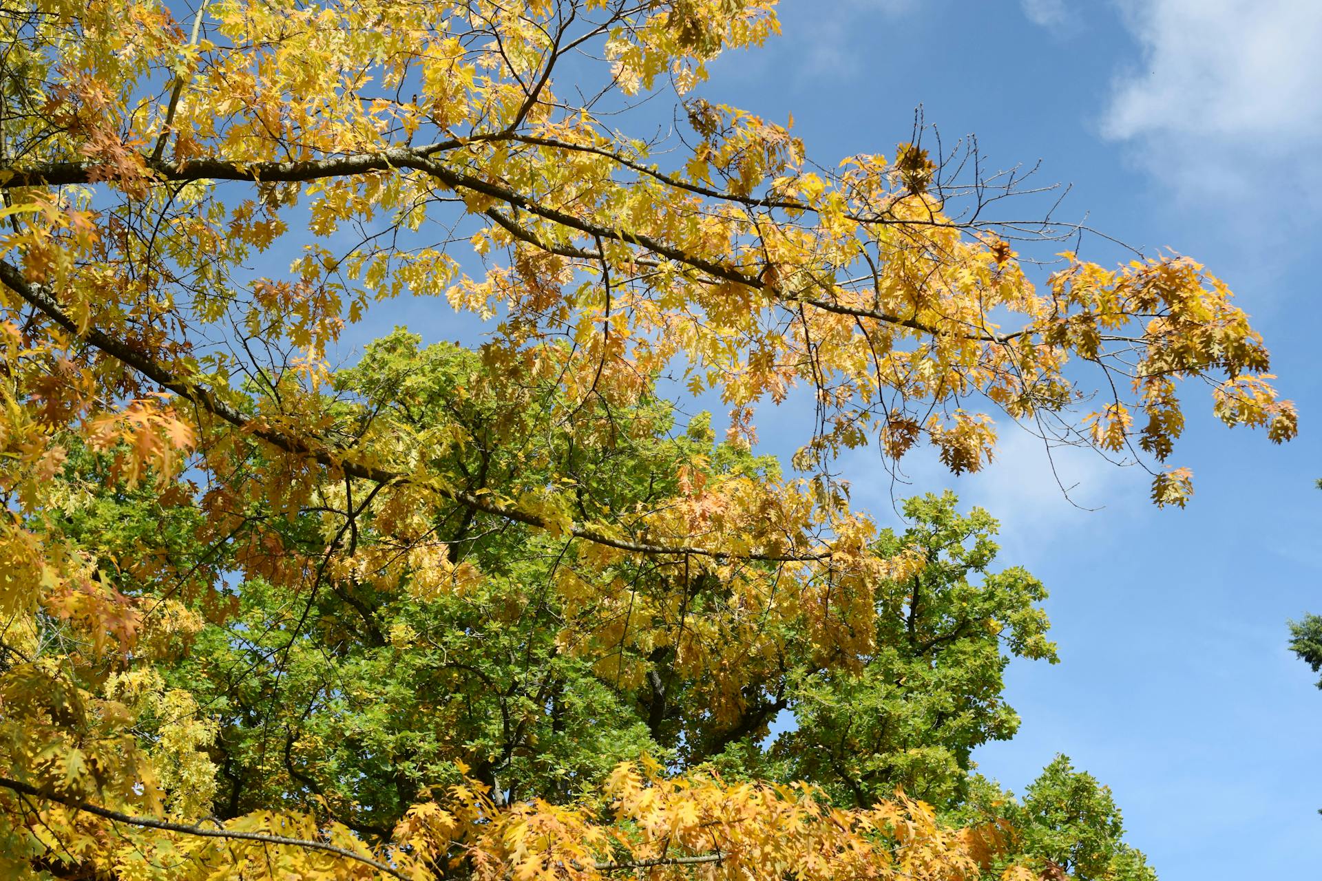 Kinh Nghiệm Xin Visa Au Pair Pháp Thành Công Ngay Lần Đầu