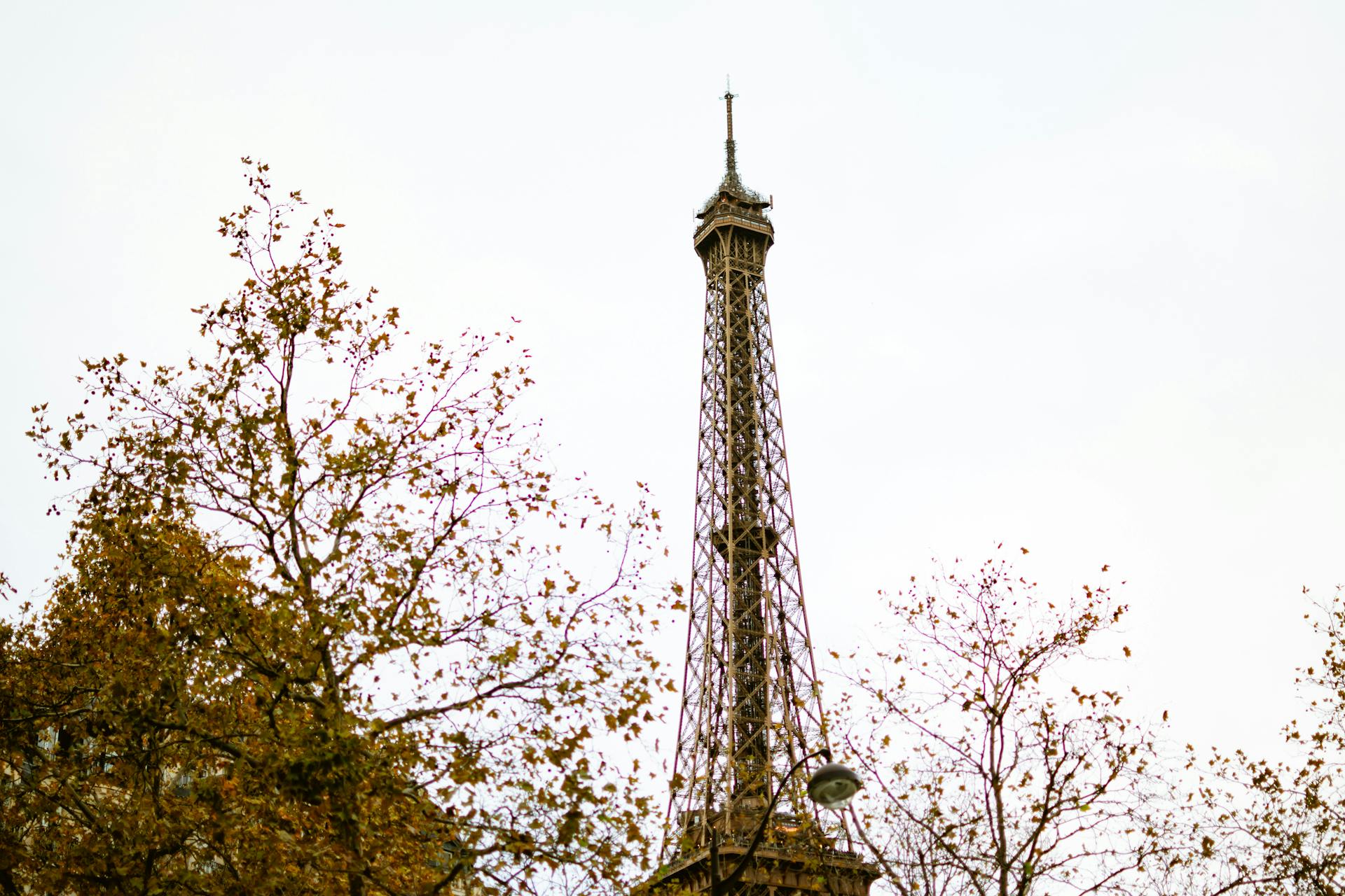 Vì Sao Pháp Là Thị Trường Chiến Lược Của Doanh Nghiệp Việt Nam Trong Thập Kỷ Mới