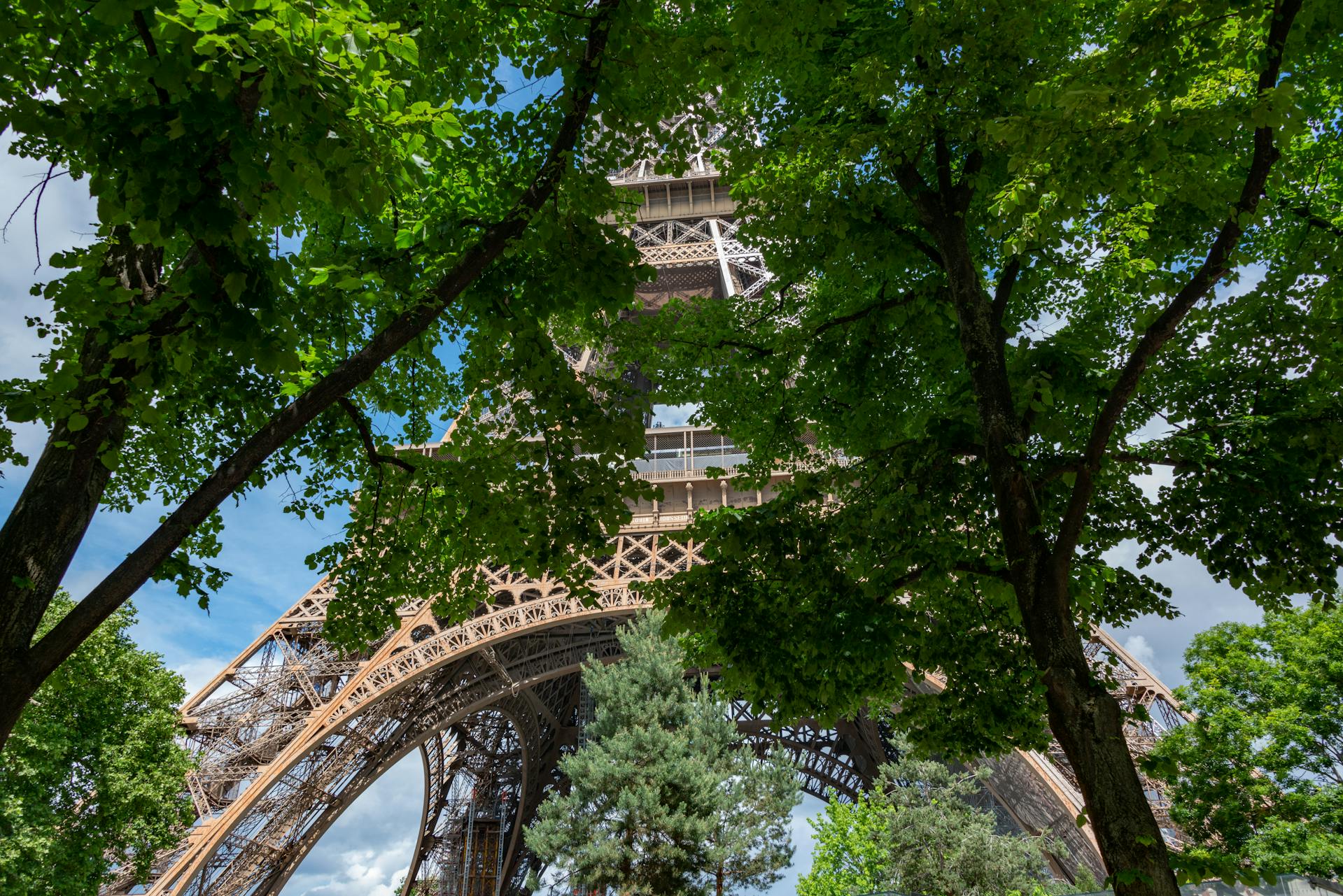 Xu Hướng Tiêu Dùng Tại Pháp Đang Thay Đổi Theo Hướng Nào