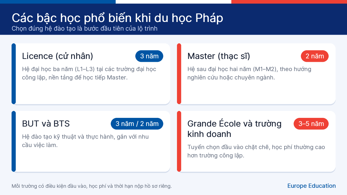 Infographic các bậc học phổ biến khi du học Pháp: Licence, Master, BUT và BTS, Grande École